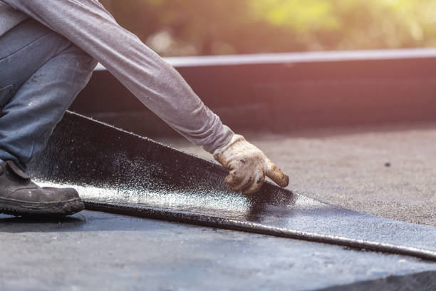 Wet basement repair process in Ovid, MI